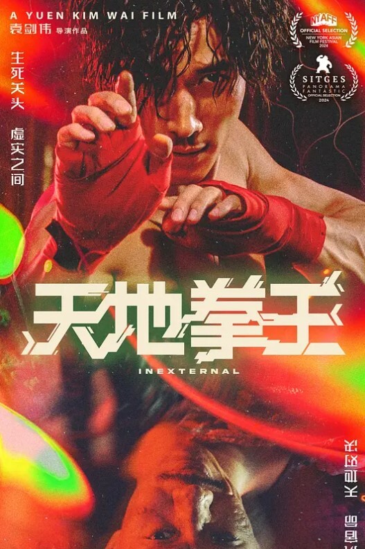 天地拳王