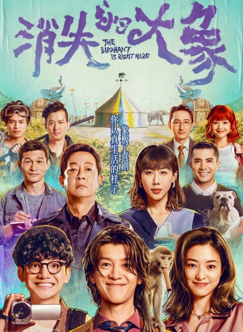 消失的大象