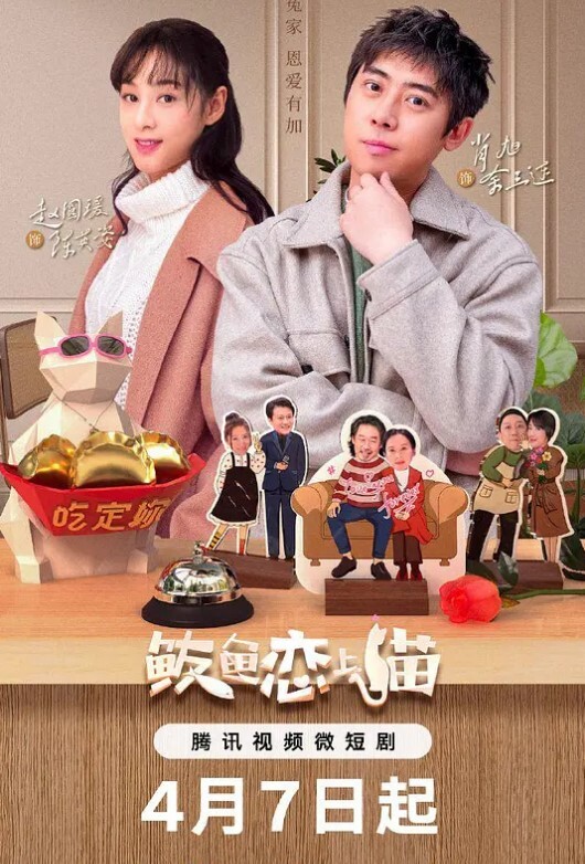 鲅鱼恋上猫