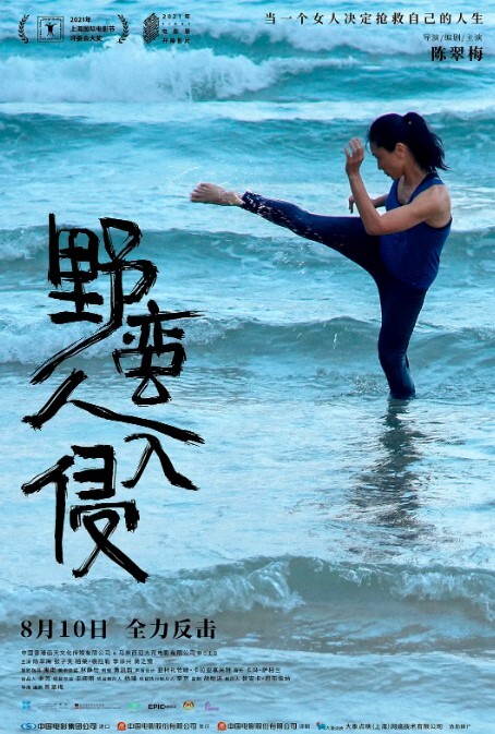 野蛮人入侵